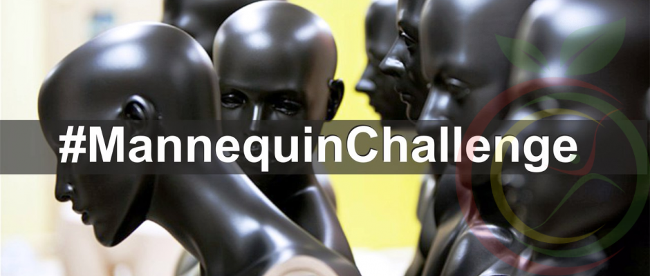 Mannequin Challenge в реабилитационном центре "Мой Выбор"
